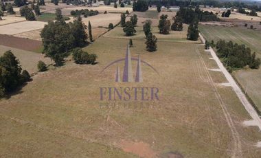 Maravillosas Parcelas Sector De Pilmaiquén, Lago Ranco