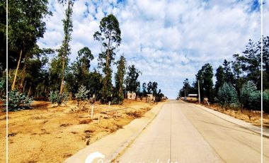 Lote Plano 1000m², Condominio Huallilemu El Quisco