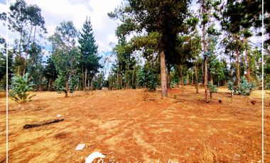 Lote Plano 1000m², Condominio Huallilemu El Quisco