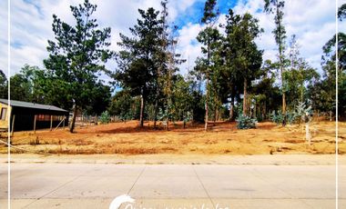 Lote Plano 1000m², Condominio Huallilemu El Quisco