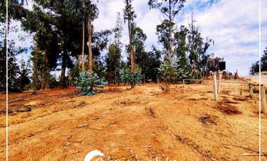 Lote Plano 1000m², Condominio Huallilemu El Quisco