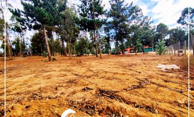 Lote Plano 1000m², Condominio Huallilemu El Quisco