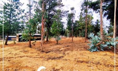 Lote Plano 1000m², Condominio Huallilemu El Quisco