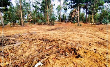 Lote Plano 1000m², Condominio Huallilemu El Quisco