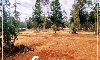 Lote Plano 1000m², Condominio Huallilemu El Quisco