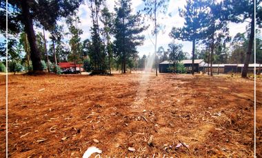 Lote Plano 1000m², Condominio Huallilemu El Quisco