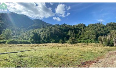 Parcelas 0,5ha Riñinahue Urbanizadas, Árboles, Rio, Vistas Y