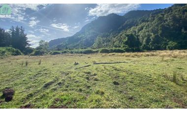 Parcelas 0,5ha Riñinahue Urbanizadas, Árboles, Rio, Vistas Y