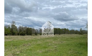 Campo  Río Bueno- Crucero 9,1 Ha. - Rio Sur Corretajes