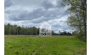 Campo  Río Bueno- Crucero 9,1 Ha. - Rio Sur Corretajes