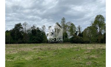 Campo  Río Bueno- Crucero 9,1 Ha. - Rio Sur Corretajes
