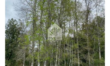 Campo  Río Bueno- Crucero 9,1 Ha. - Rio Sur Corretajes