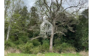 Campo  Río Bueno- Crucero 9,1 Ha. - Rio Sur Corretajes