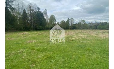 Campo  Río Bueno- Crucero 9,1 Ha. - Rio Sur Corretajes