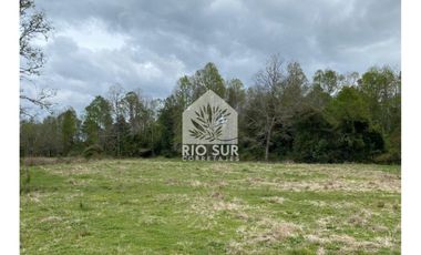 Campo  Río Bueno- Crucero 9,1 Ha. - Rio Sur Corretajes