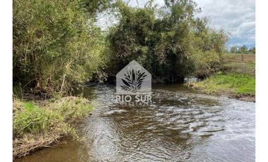 Campo  Río Bueno- Crucero 9,1 Ha. - Rio Sur Corretajes