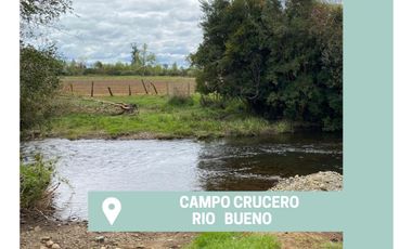 Campo  Río Bueno- Crucero 9,1 Ha. - Rio Sur Corretajes