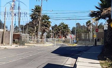 Finster Vende Terreno 3 Has. Zona Alta Plusvalía Quintero