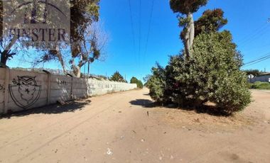 Finster Vende Terreno 3 Has. Zona Alta Plusvalía Quintero