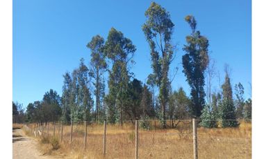 Mh&hauslink Vende; Hermosa Y Atractiva Parcela A Orillas