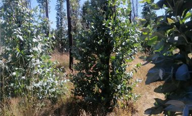 Mh&hauslink Vende; Hermosa Y Atractiva Parcela A Orillas