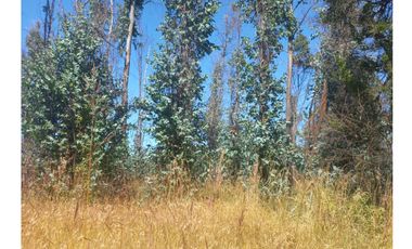 Mh&hauslink Vende; Hermosa Y Atractiva Parcela A Orillas