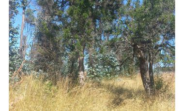 Mh&hauslink Vende; Hermosa Y Atractiva Parcela A Orillas