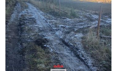 Terreno 10 Has. en Quinched, Chonchi, Isla De Chiloé. FHP