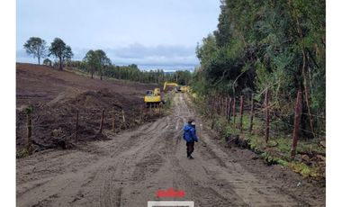 Terreno 10 Has. en Quinched, Chonchi, Isla De Chiloé. FHP