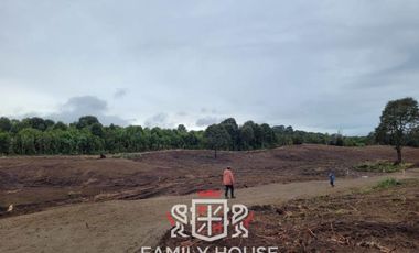 Terreno 10 Has. en Quinched, Chonchi, Isla De Chiloé. FHP