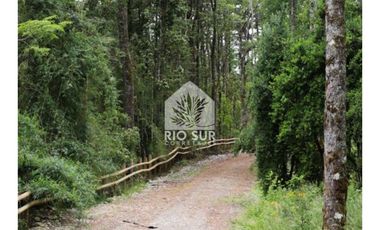 Parcelas Puyehue Rio Bueno - Rio Sur Corretajes