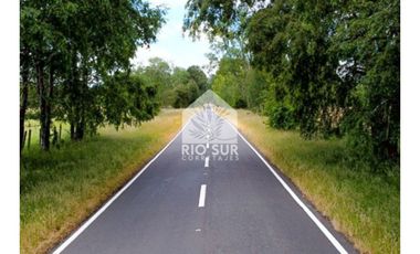 Parcelas Puyehue Rio Bueno - Rio Sur Corretajes