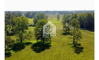 Parcelas Puyehue Rio Bueno - Rio Sur Corretajes