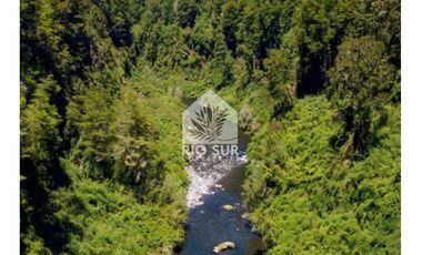Parcelas Puyehue Rio Bueno - Rio Sur Corretajes