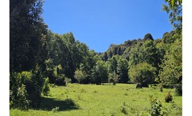 Oportunidad Hauslink Vende Precioso Campo Precordillerano Vi