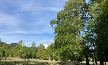 Oportunidad Hauslink Vende Precioso Campo Precordillerano Vi