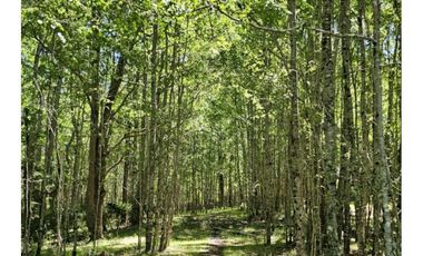 Oportunidad Hauslink Vende Precioso Campo Precordillerano Vi
