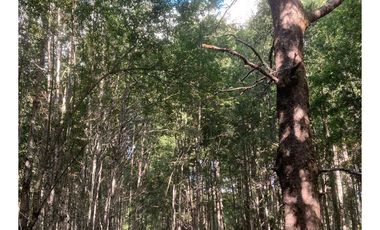 Oportunidad Hauslink Vende Precioso Campo Precordillerano Vi