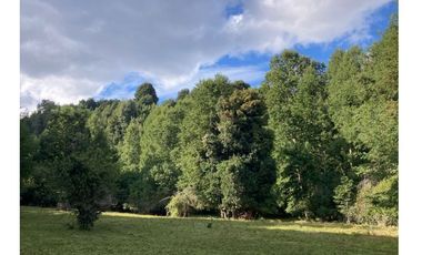 Oportunidad Hauslink Vende Precioso Campo Precordillerano Vi