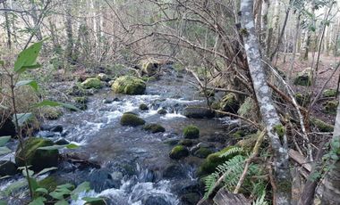 Oportunidad Hauslink Vende Precioso Campo Precordillerano Vi