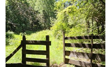 Oportunidad Hauslink Vende Precioso Campo Precordillerano Vi