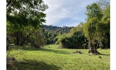 Oportunidad Hauslink Vende Precioso Campo Precordillerano Vi