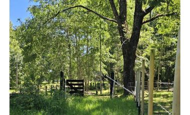 Oportunidad Hauslink Vende Precioso Campo Precordillerano Vi