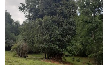 Oportunidad Hauslink Vende Precioso Campo Precordillerano Vi