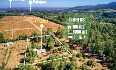 Parcela En Venta En Linares - Hermosa Y Con Bosque