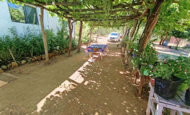 Parcela En Venta En Linares - Hermosa Y Con Bosque