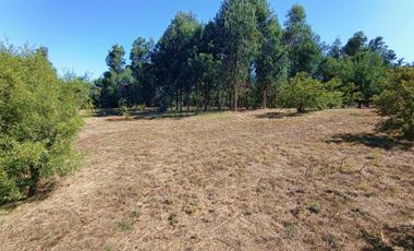 Parcela En Venta En Linares - Hermosa Y Con Bosque