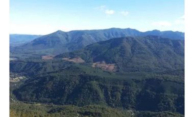 Venta Terreno Forestal O Ecologico