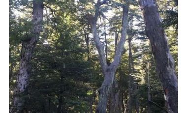 Venta Terreno Forestal O Ecologico