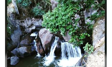 Venta Terreno Forestal O Ecologico